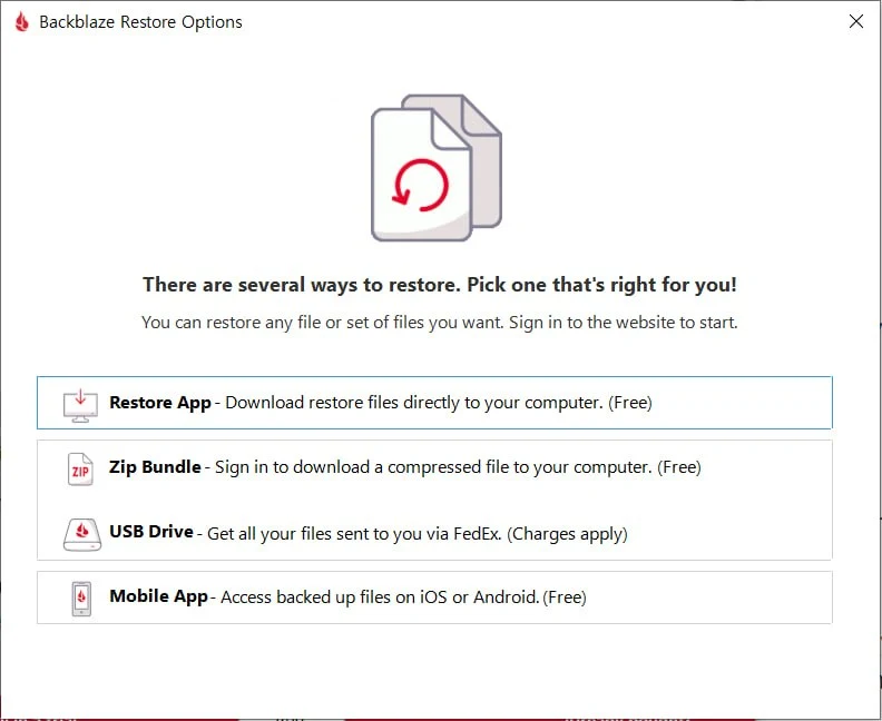 Backblaze offers several restore methods, including Restore App, Zip Bundle, USB Drive, and Mobile App.