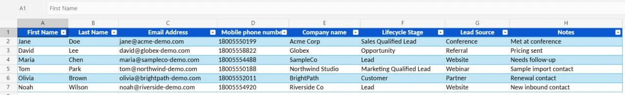 Spreadsheet with sample CRM migration contact data before import